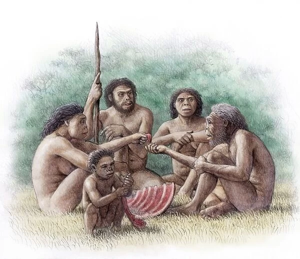 Homo georgicus family
