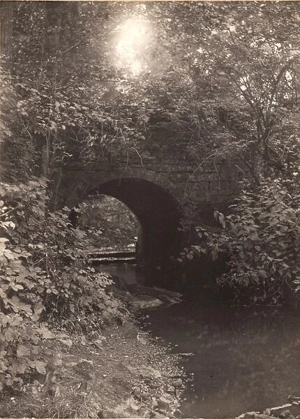 Crowborough Warren, 1906