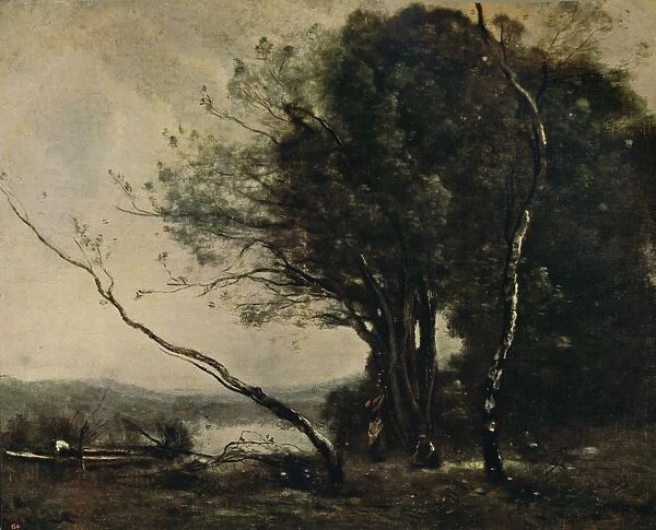The Bent Tree, 1855-1860, (c1915). Artist: Jean-Baptiste-Camille Corot