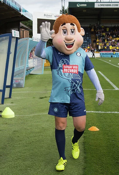 Bodger the Wycombe Wanderers Mascot: 2018 / 19 Team Photos
