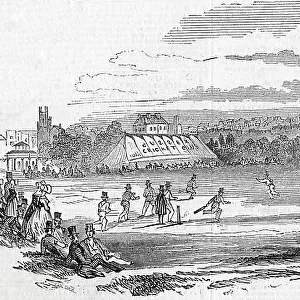A grand cricket match at Brighton