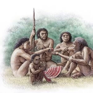 Homo georgicus family
