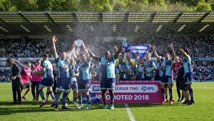 Football, Football League, League 2, Season 2017/18, Sky Bet League 2, Soccer, Stevenage Football, Football League, League 2, Season 2017/18, Sky Bet League 2, Soccer, Stevenage